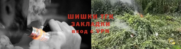 ГАЛЛЮЦИНОГЕННЫЕ ГРИБЫ Осинники