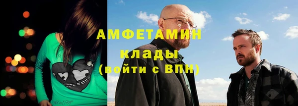 стаф Алексин