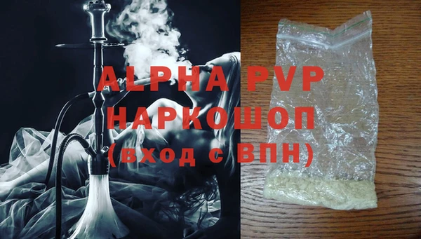 стаф Алексин