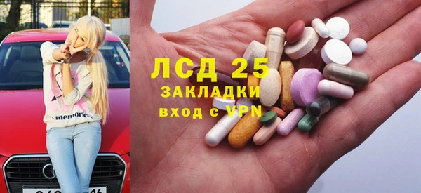 стаф Алексин
