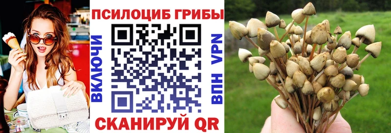 Псилоцибиновые грибы Cubensis  МЕГА рабочий сайт  Ленинск-Кузнецкий  где можно купить наркотик 